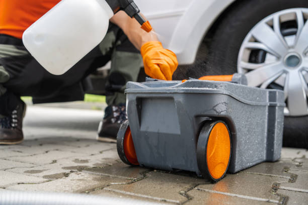 Best Lawn Pest Prevention  in San Ysidro, NM